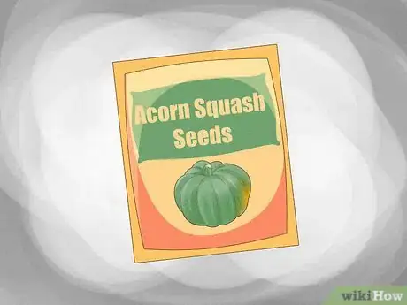 Image titled Grow Acorn Squash Step 1