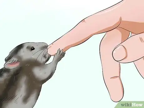 Image titled Care for a Russian Dwarf Hamster Step 18