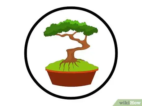 Image titled Repot Bonsai Trees Step 2