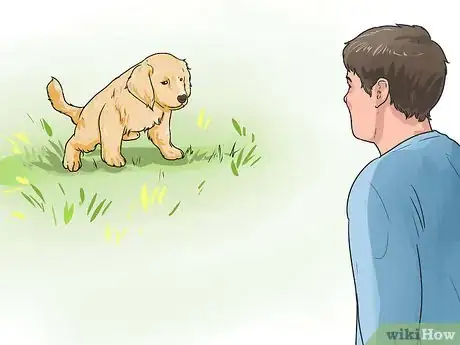 Image titled Train a Golden Retriever Puppy Step 9