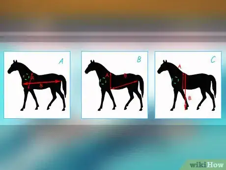 Image titled Diagnose Parasites in Horses Step 1