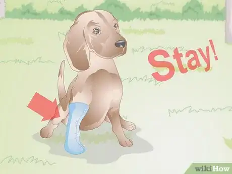 Image titled Teach Your Older Dog Basic Commands Step 8