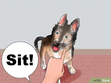 Image titled Train a German Shepherd Step 1