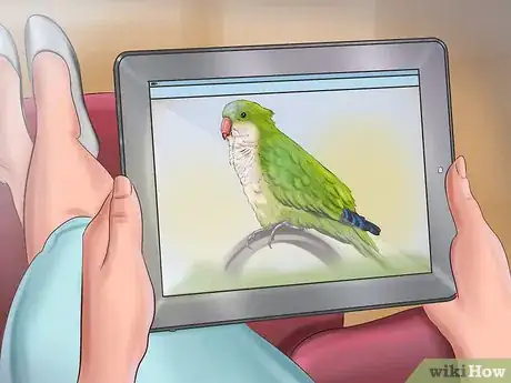 Image titled Take Care of a Quaker Parrot Step 3