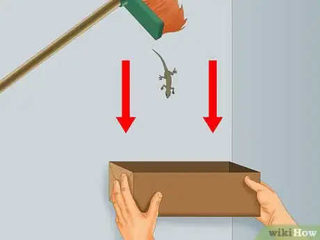 Image titled Catch a Lizard Without Using a Trap Step 3