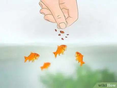 Image titled Take Care of Goldfish Step 10