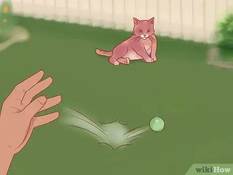 Image titled Greet a Cat Step 10