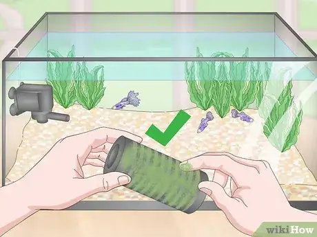 Image titled Lower Your Nitrate_Nitrite Levels in Your Fish Tank Step 10