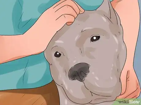 Image titled Give Your Dog Eye Drops Step 7