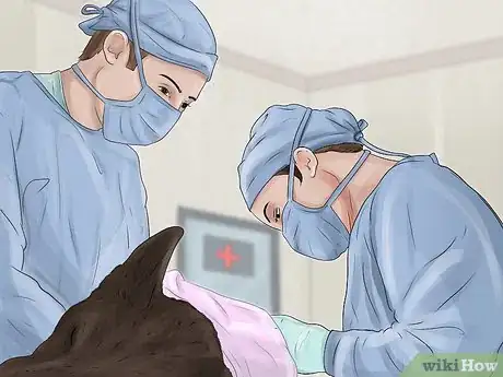 Image titled Treat a Dog's Bladder Infection Step 8