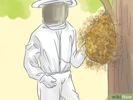 Image titled Approach a Bee Infestation Step 13