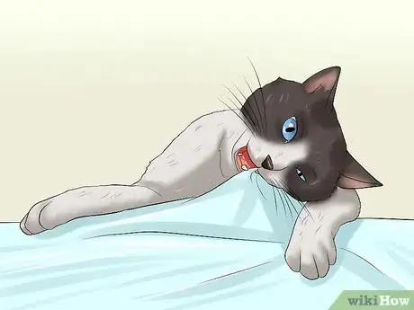 Image titled Stop a Cat from Chewing Step 1