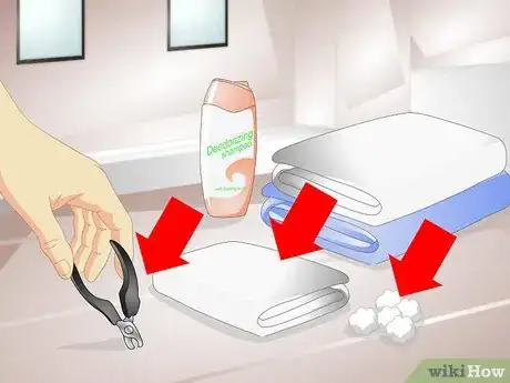Image titled Remove Urine Smells from a Pet Step 4