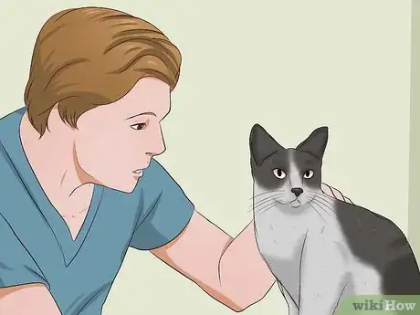 Image titled Remove Cat Urine Smell Step 16