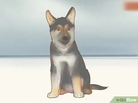 Image titled Choose a German Shepherd Puppy Step 1
