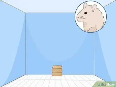 Image titled Build a Hamster Maze Step 1