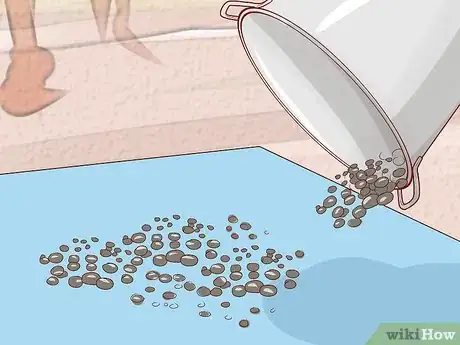 Image titled Clean Gravel Step 10