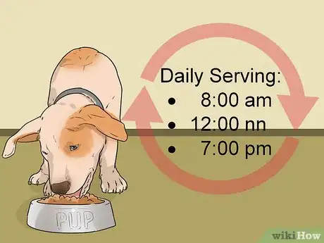 Image titled Feed a Diabetic Dog Step 2