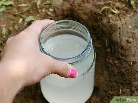 Image titled Get Rid of Slugs and Snails With Yeast Step 3