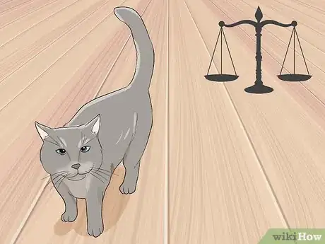 Image titled Use Cats for Pest Control Step 3