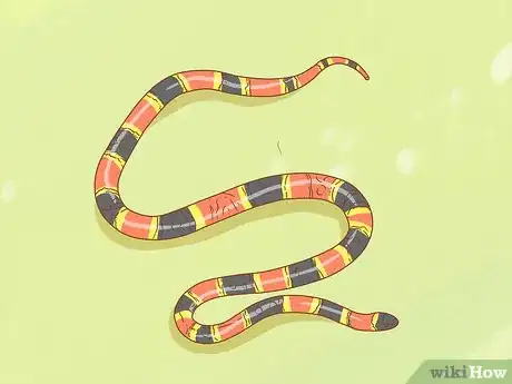 Image titled Differentiate Between Poisonous Snakes and Non Poisonous Snakes Step 3