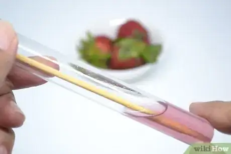 Image titled Extract Strawberry DNA Final