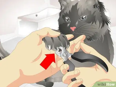Image titled Remove Urine Smells from a Pet Step 7