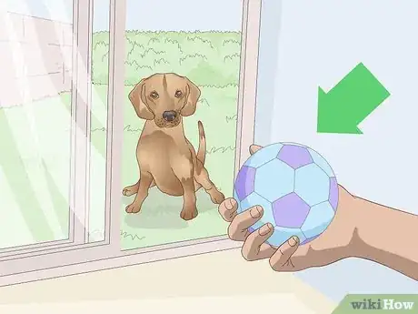 Image titled Get Your Dog to Come Inside the House Step 1