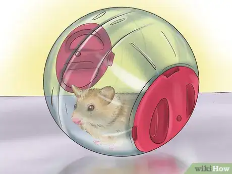 Image titled Play With a Hamster Step 7