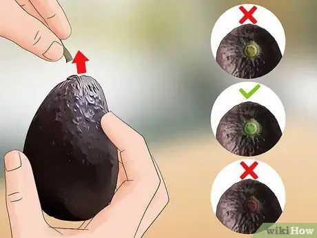 Image titled Choose Avocados Step 5