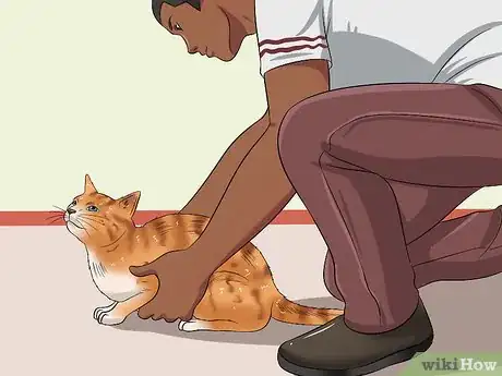 Image titled Make Your Cat Love You Step 8