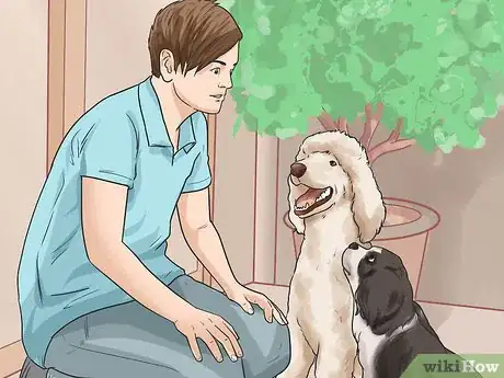 Image titled Get Your Two Dogs to Stop Fighting Step 13