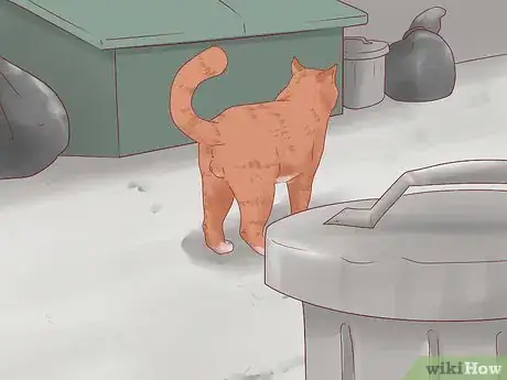 Image titled Get Your Cat to Come Inside Step 12