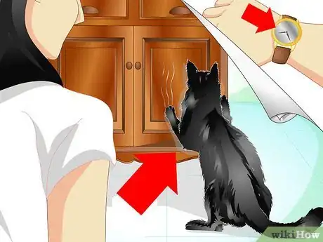 Image titled Train Your Cat Not to Scratch the Furniture Step 1
