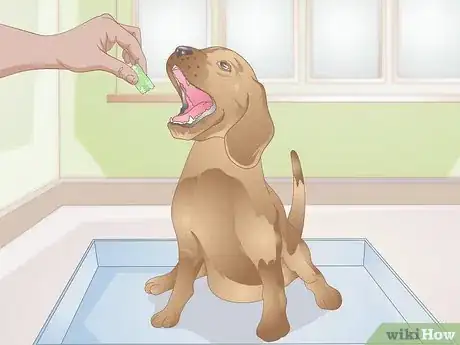 Image titled Accustom Your Pregnant Dog to the Whelping Box Step 9