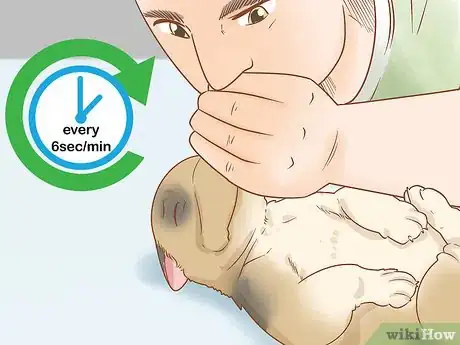 Image titled Revive a Puppy Step 15