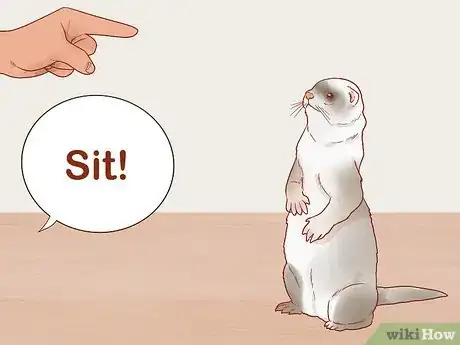 Image titled Train Your Ferrets to Do Tricks Step 10