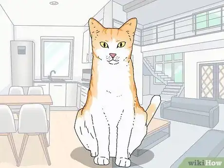 Image titled Know if You Are Ready for a Cat Step 6