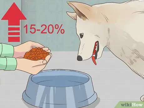 Image titled Feed a Pregnant Dog Shortly Before Labor Step 6