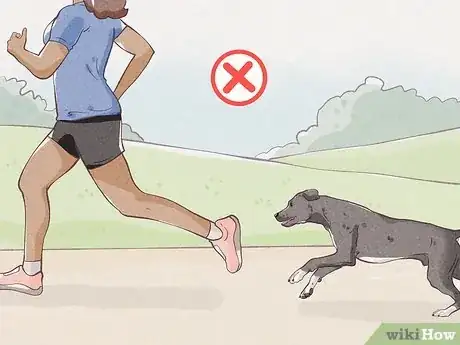 Image titled Protect Yourself from Dogs While Walking Step 6