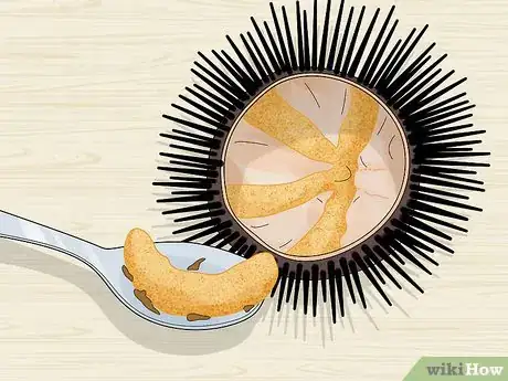 Image titled Eat Sea Urchins Step 5