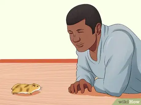 Image titled Train a Hamster Not to Bite Step 11
