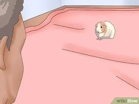 Image titled Make Sure Your Guinea Pig Is Happy Step 11