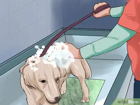 Image titled Give a Stubborn Dog a Bath Step 6