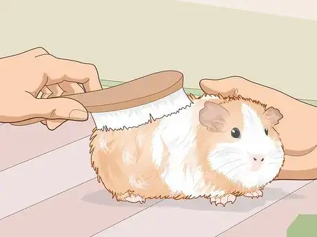 Image titled Properly Care for Your Guinea Pigs Step 23