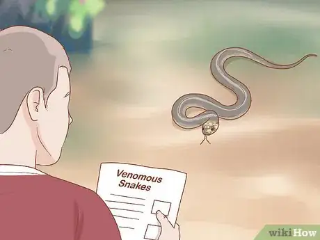 Image titled Pick up a Snake Step 5