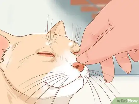 Image titled Stop Your Cat from Attacking Your Dog Step 19