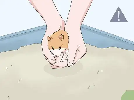 Image titled Deal With Your Hamster Dying Step 6
