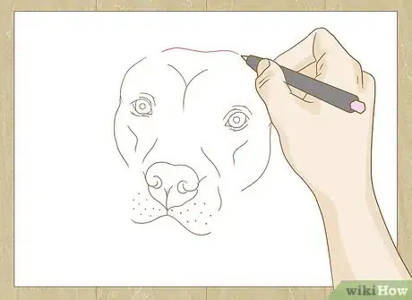 Image titled Draw a Pitbull Step 19