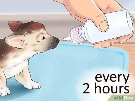 Image titled Help a Mother Dog Rest Step 8